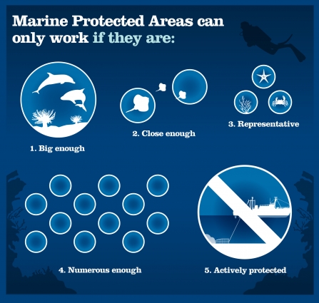Marine protected areas | Living Seas North West